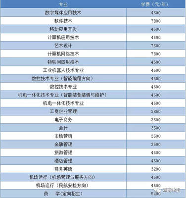 湖南省單招考試報(bào)考計(jì)算機(jī)、軟件類專業(yè)院校與重點(diǎn)推薦—聚焦技術(shù)開發(fā)與銷售